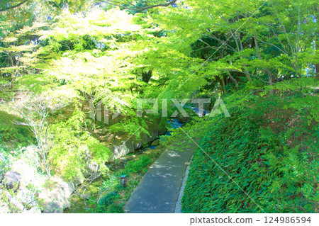 [Aichi Prefecture] Tokugawaen Garden in Higashi Ward, Nagoya City 124986594
