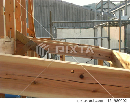 Half-timbered house 19 124986602