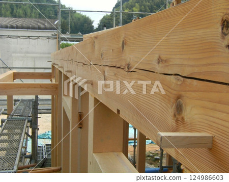 Half-timbered house 20 124986603