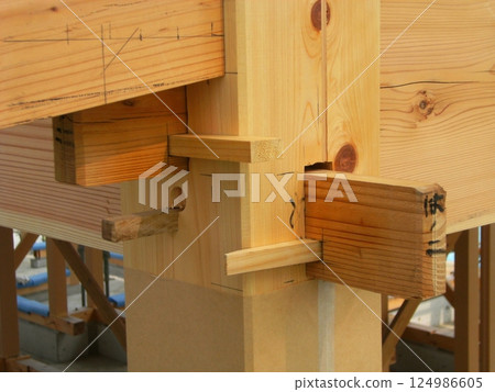 Half-timbered house 22 Half-timbered house 22 124986605