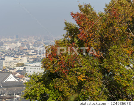 Trees turning red and the cityscape 124986678