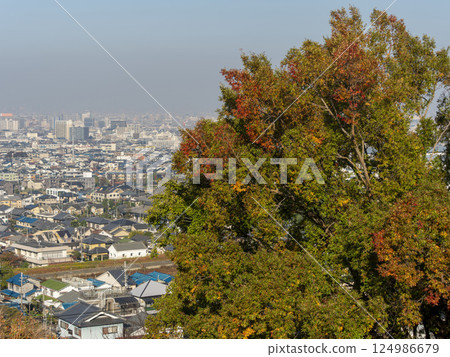 樹木變紅，城市景觀 124986679