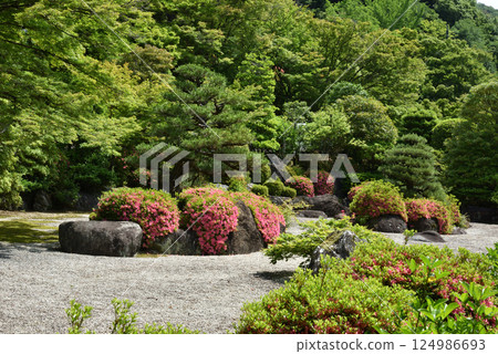 Mimuroto Temple: Rock garden in the season of azalea (Uji, Kyoto Prefecture) 124986693