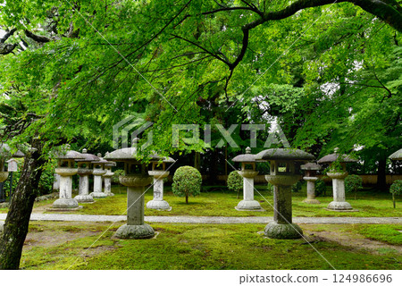 Jigen-do Temple surrounded by greenery 124986696