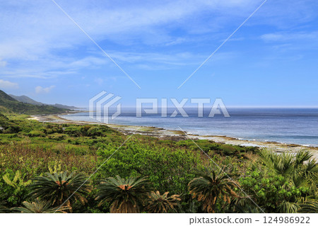 Cycad Tunnel Kanamizaki Observation Point (Kagoshima Prefecture) 124986922
