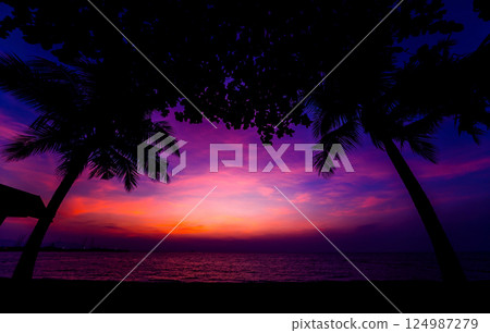 Beautiful tropical beach with palm trees. Sunrises and sunsets. Ocean. 124987279