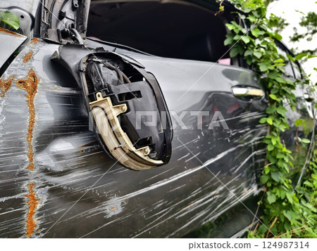 Abandoned cars after accidents in a dense overgrown setting Abandoned cars after accidents in a dense overgrown setting 124987314