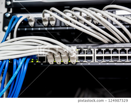 Network switch and ethernet cables in red and white colors. Data Center Network switch and ethernet cables in red and white colors. Data Center 124987329