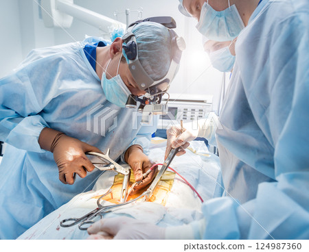Spinal surgery. Group of surgeons in operating room with surgery equipment. Spinal surgery. Group of surgeons in operating room with surgery equipment. 124987360