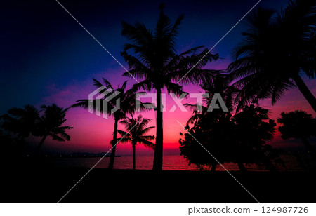 Twilight on amazing ocean tropical beach. Summer 124987726