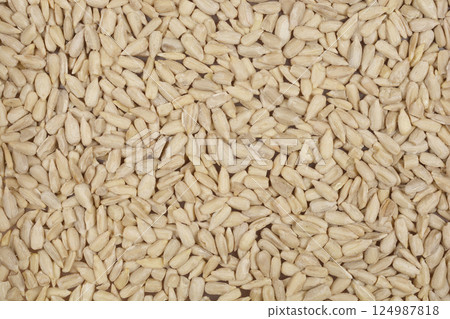Sunflower seeds Sunflower seeds 124987818