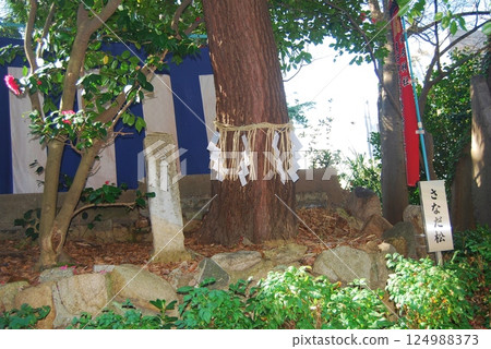 安井天滿宮的風景 124988373