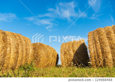 Bales of straw on field at summer. Beautiful bales of straw lie on the field 124988488