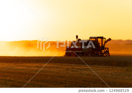 A beautiful image of a combine harvester on the field. Beautiful shot of a harvester in a countryside farm. A combine harvester is harvesting in a field in the evening at sunset 124988529