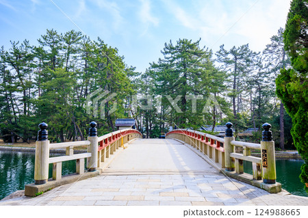 京都府宮津市春天的開泉橋 124988665