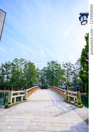 京都府宮津市春天的開泉橋 124988666