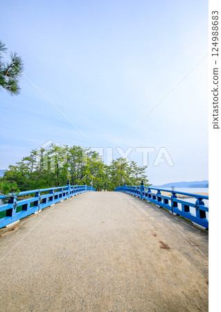 京都府宮津市春天的大天橋 124988683