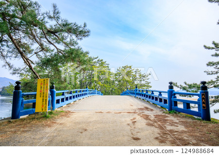 京都府宮津市春天的大天橋 124988684