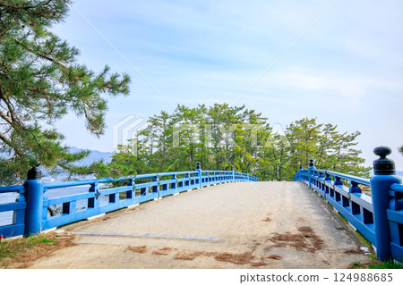 Daitenkyo Bridge in spring, Miyazu City, Kyoto Prefecture 124988685