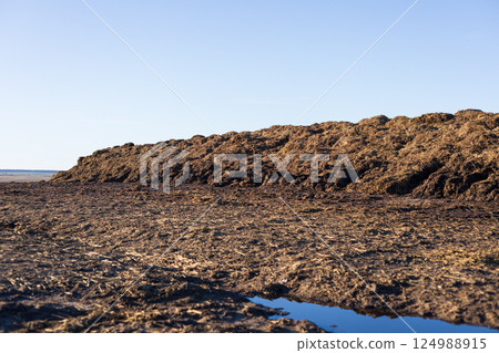 Beneath a vast blue sky, a large mound of organic material rests on the earth, highlighting the essence of rural life and agricultural practices 124988915