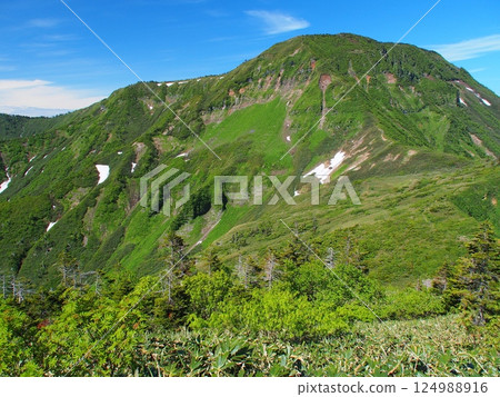 Mt. Naeba in summer as seen from Kagura-ga-mine 124988916