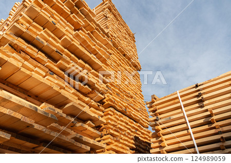 Large stacks of wooden pallets are neatly organized in a lumber yard, illuminated by bright sunlight against a clear blue sky 124989059