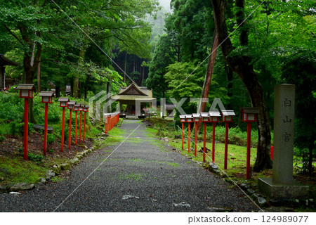Hiyoshi Taisha Hakusannomiya Hiyoshi Taisha Hakusannomiya 124989077