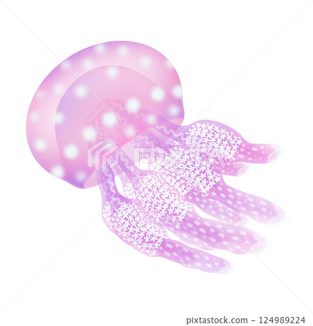 Octopus jellyfish_pink Octopus jellyfish_pink 124989224