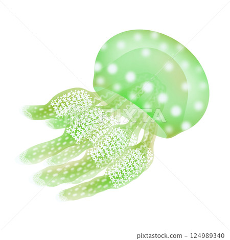 Octopus jellyfish_green 124989340