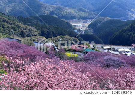 春天從桑田山出發的火車景色（高知縣須崎市） 124989349