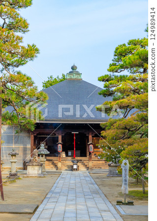 京都府宮津市知恩寺文殊堂的春天 124989414
