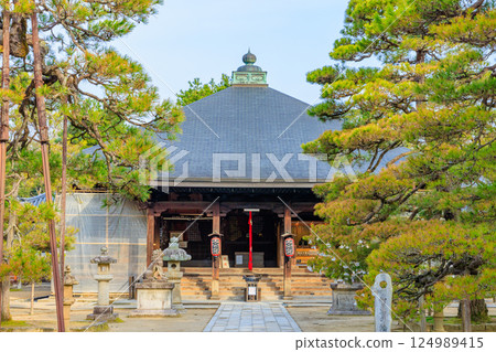 京都府宮津市知恩寺文殊堂的春天 124989415