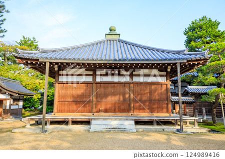 京都府宮津市知恩寺文殊堂的春天 124989416