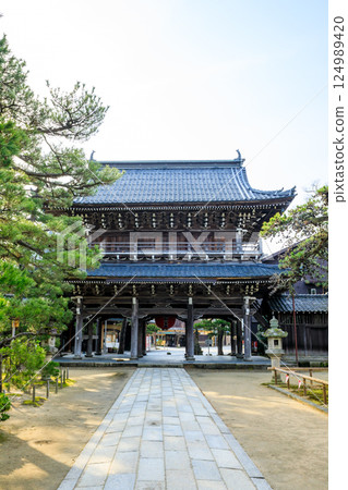 京都府宮津市知恩寺三門的春天 124989420