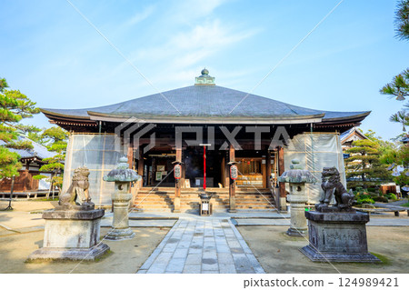 京都府宮津市知恩寺文殊堂的春天 124989421