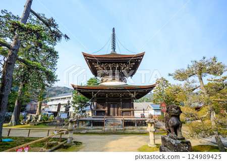 京都府宮津市知恩寺的春天 124989425