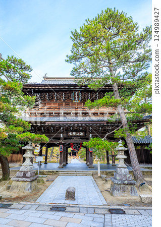 京都府宮津市知恩寺三門的春天 124989427