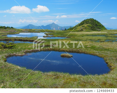 夏季的苗場山頂沼澤地 夏季的苗場山頂沼澤地 124989433