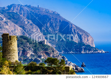 Spanish coast with Pine Tower, Andalusia. 124989667
