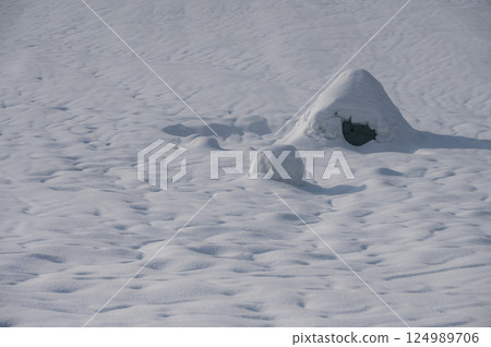 Slime in the Snowfield [Nagano Prefecture] 124989706