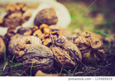 Walnut whole and kernels outdoors on ground. 124989929