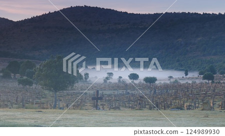 Morning fog over Sad Hill Cemetery. Tourist place in Spain. 124989930