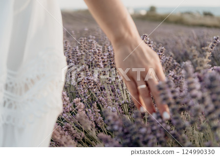 Lavender Field Woman Touching Flowers Summer Romance Lavender Field Woman Touching Flowers Summer Romance 124990330
