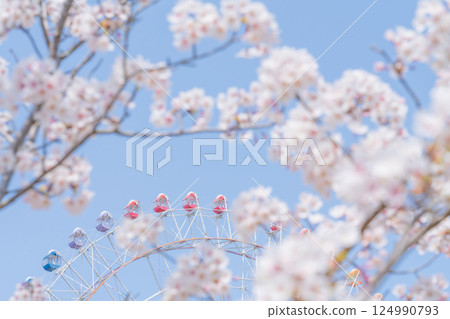櫻花與摩天輪－春假遊樂園圖片 124990793