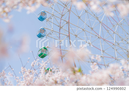 櫻花與摩天輪－春假遊樂園圖片 124990802