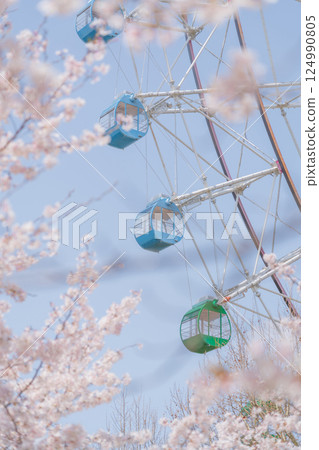 櫻花與摩天輪－春假遊樂園圖片 124990805