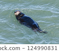 一隻海獺仰面漂浮在海浪中 124990831