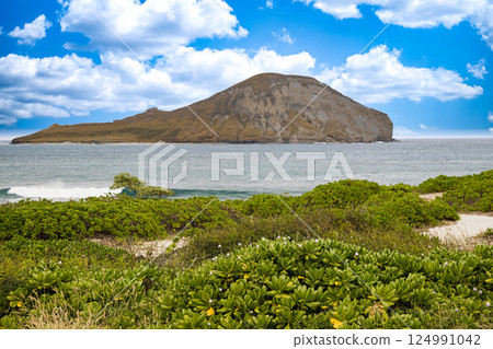 Holiday in Hawaii: View of Rabbit Island (Ma'ana Island) from Makapuu Lookout on Oahu 124991042