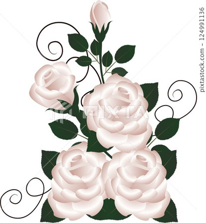 A bouquet of roses on a white background. 124991136