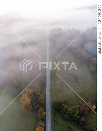 Aerial view with a road through the foggy forest at sunrise in Black Forest, Germany 124991202